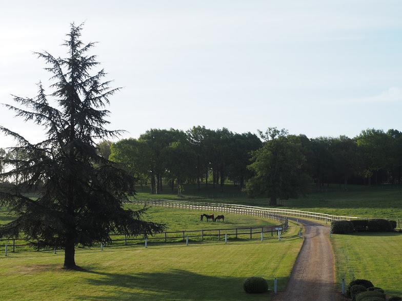 Hotel Haras De La Potardiere 크로스미에레 외부 사진